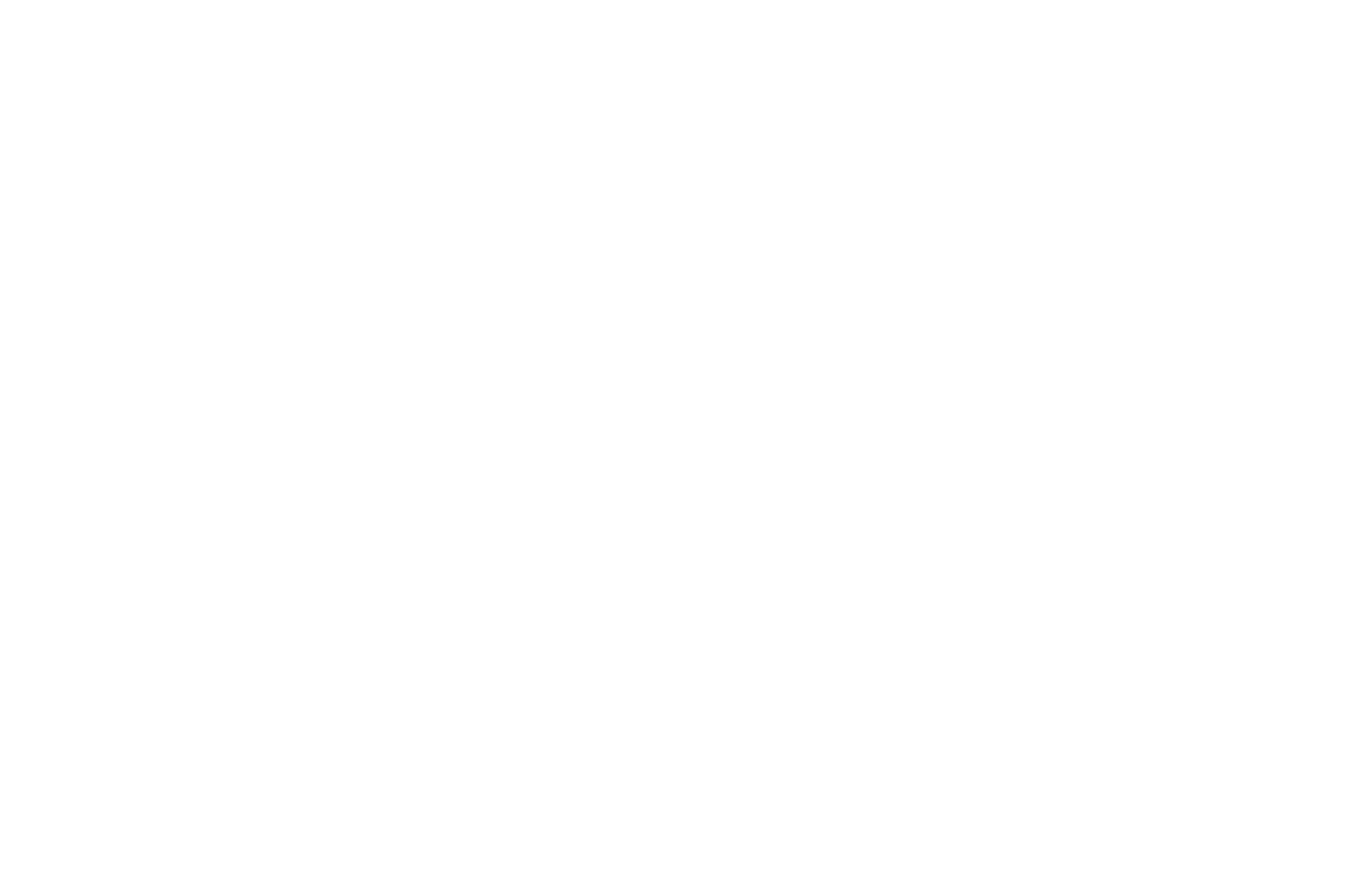LUCA NOEL logo